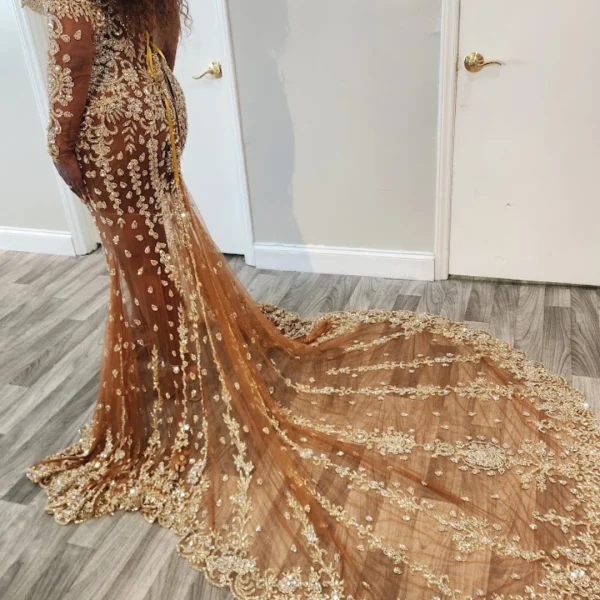 Immaculate Gold Gown back Image